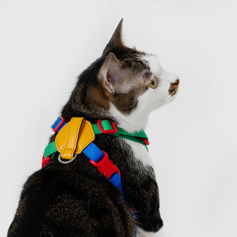 10TH YEAR_Harness