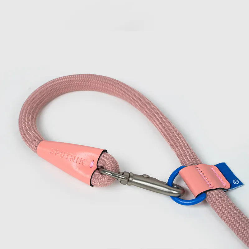 10TH YEAR - Leash