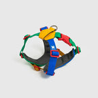 Petizen 10th Anniversary dog harness Singapore - limited edition walk gear - detail view