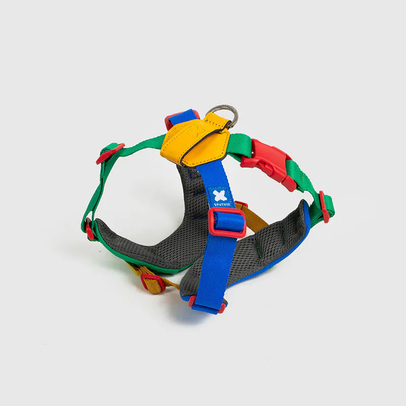 Petizen 10th Anniversary dog harness Singapore - limited edition walk gear - detail view