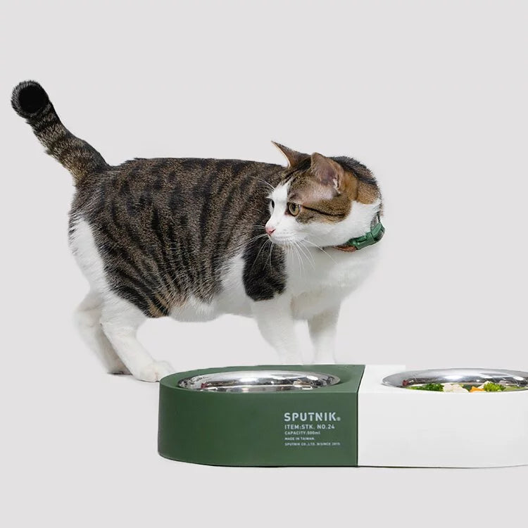 NON-ANTS Bowl (Low) - White Singapore - low-profile ant-proof pet feeding bowl by Petizen - side view