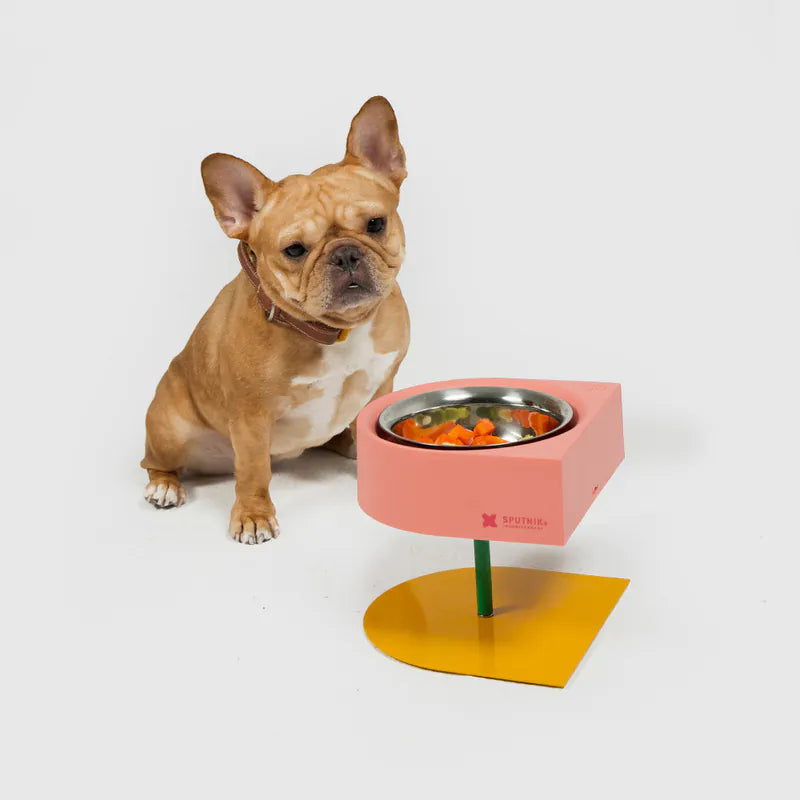 10TH YEAR -NON-ANTS Bowl (High) Singapore - elevated ant-proof pet feeding bowl by Petizen - product overview