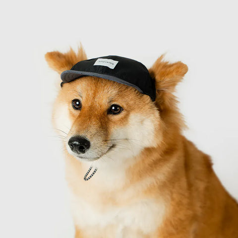 Nylon Baseball Pet Cap