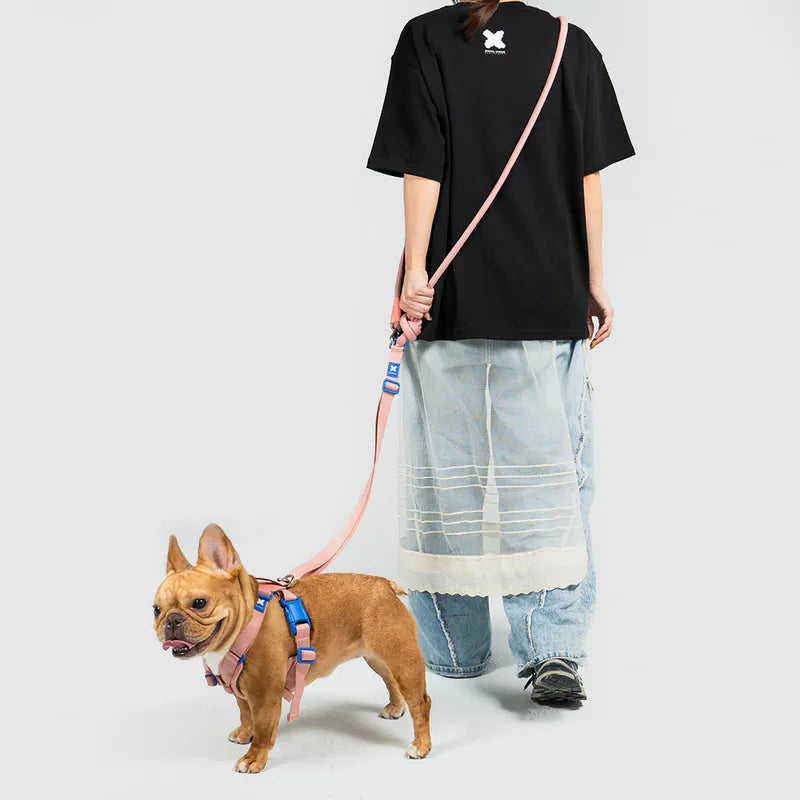 10TH YEAR - Leash