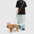 10TH YEAR - Leash