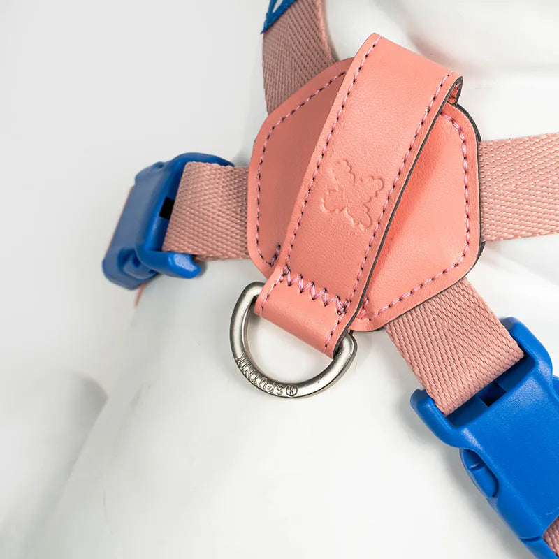 10TH YEAR_Harness