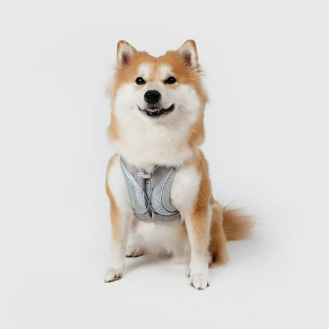 Ultra Explore - Harness