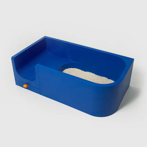 10TH YEAR - Cat Litter Box