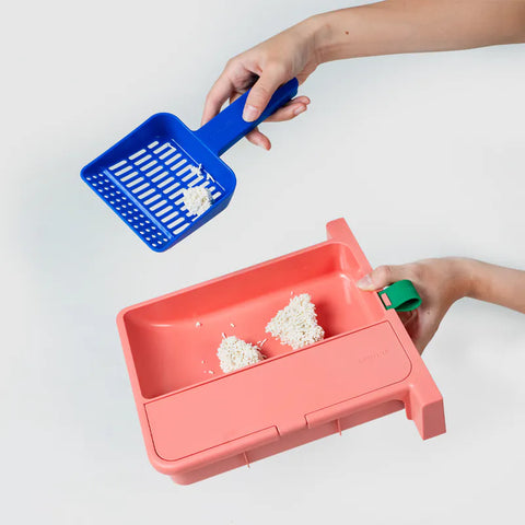 10TH YEAR - Cat Litter Box