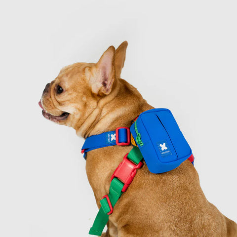 10TH YEAR - Clean bag Mini