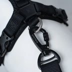Ultra Explore - Leash