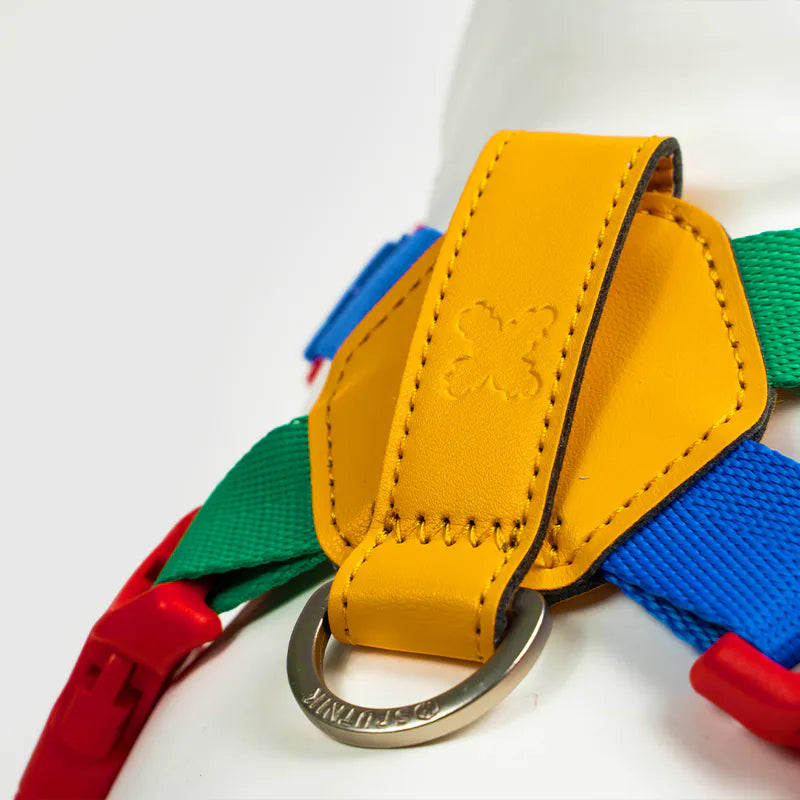 10TH YEAR_Harness