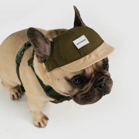 Nylon Baseball Pet Cap