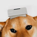 Pet grooming comb for dogs and cats Singapore - Petizen grooming tool - lifestyle