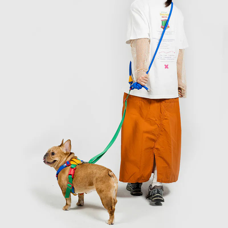 Petizen 10th Anniversary dog leash Singapore - limited edition walk gear - in use