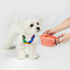 10TH YEAR - Collapsible Bowl Singapore - portable foldable pet travel bowl by Petizen - side view