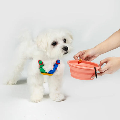 10TH YEAR - Collapsible Bowl