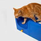 10TH YEAR - Cat Litter Box Singapore - stylish enclosed cat litter box by Petizen - side view