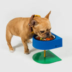 10TH YEAR -NON-ANTS Bowl (High) Singapore - elevated ant-proof pet feeding bowl by Petizen - side view