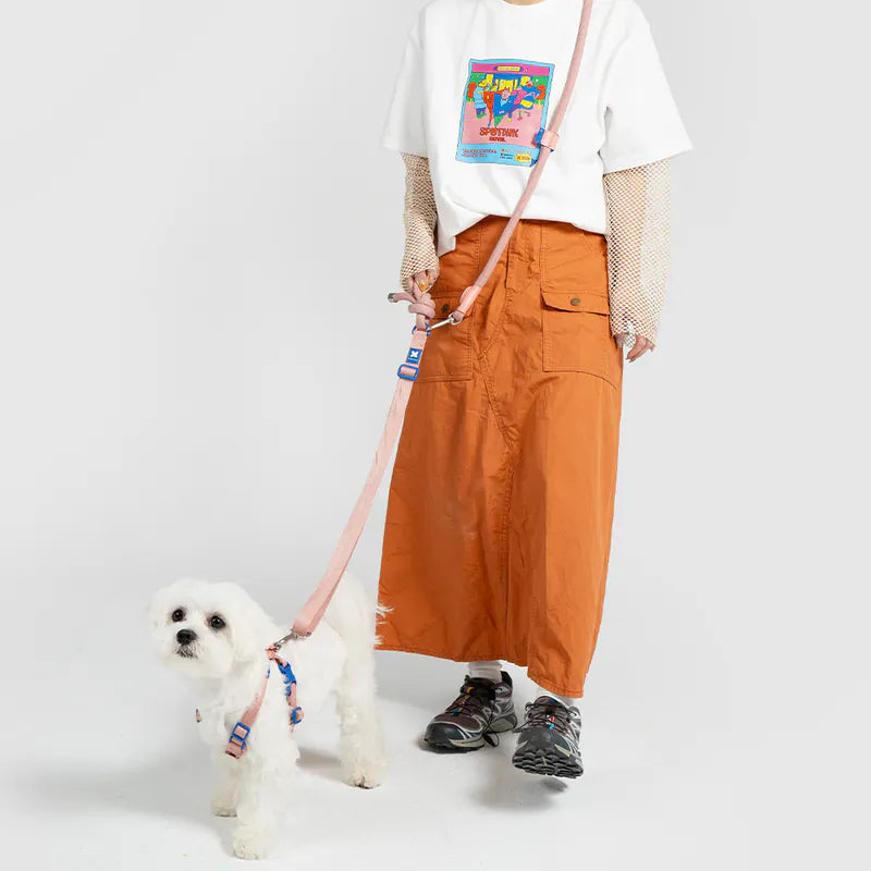 Petizen 10th Anniversary dog leash Singapore - limited edition walk gear - product overview