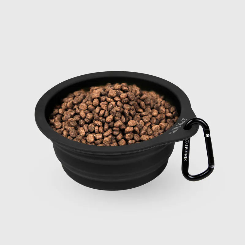 Explore - Collapsible Bowl Singapore - portable foldable pet travel bowl by Petizen - size comparison