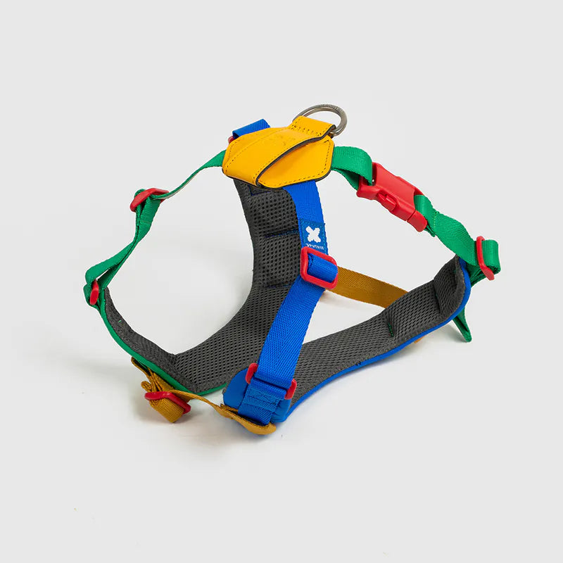 Petizen 10th Anniversary dog harness Singapore - limited edition walk gear - lifestyle