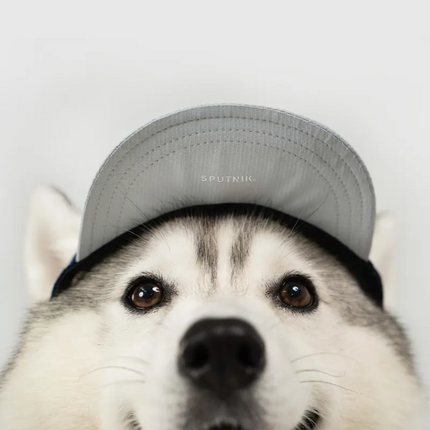 Nylon Baseball Pet Cap