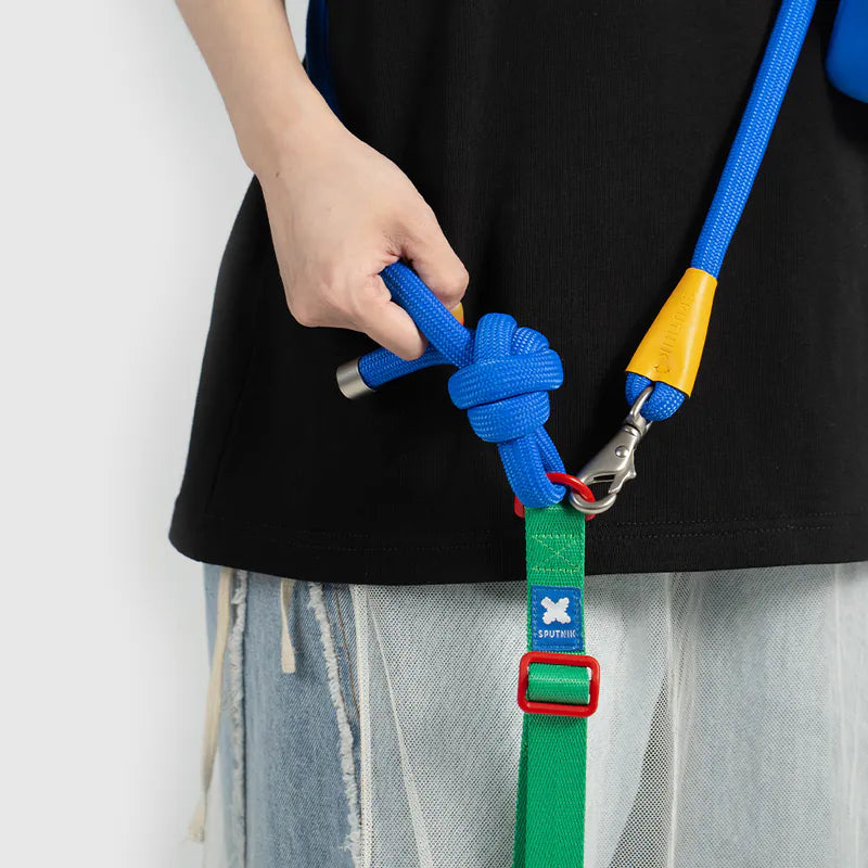Petizen 10th Anniversary dog leash Singapore - limited edition walk gear - detail view