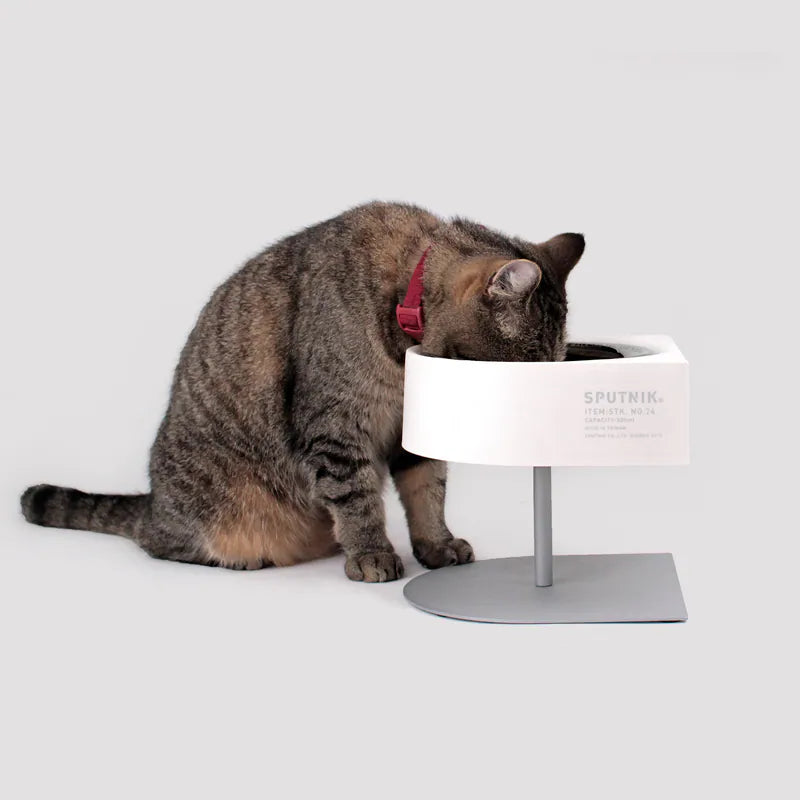 NON-ANTS Bowl (High) - Black Singapore - elevated ant-proof pet feeding bowl by Petizen - lifestyle