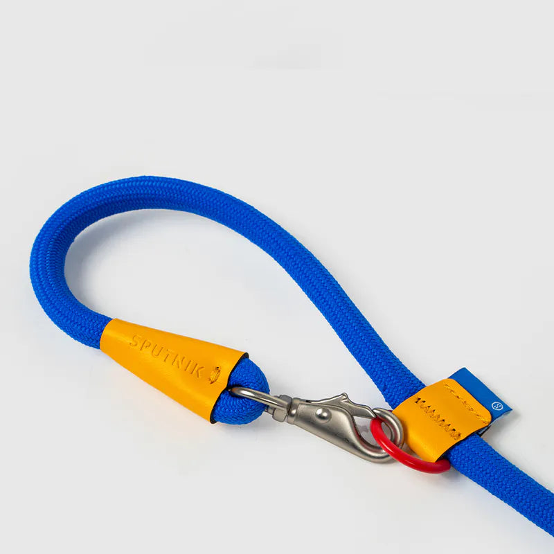 10TH YEAR - Leash