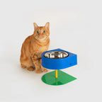 10TH YEAR -NON-ANTS Bowl (High) Singapore - elevated ant-proof pet feeding bowl by Petizen - in use