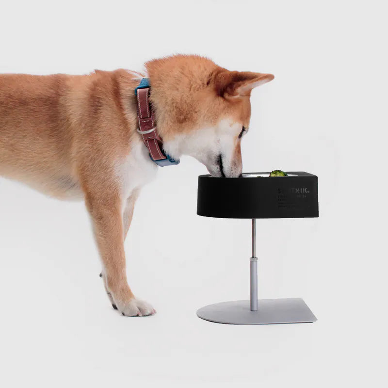 NON-ANTS Bowl (High) - Black Singapore - elevated ant-proof pet feeding bowl by Petizen - side view