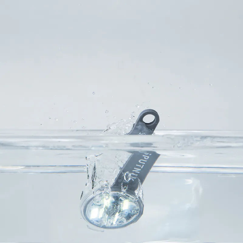 LED Light Pendant