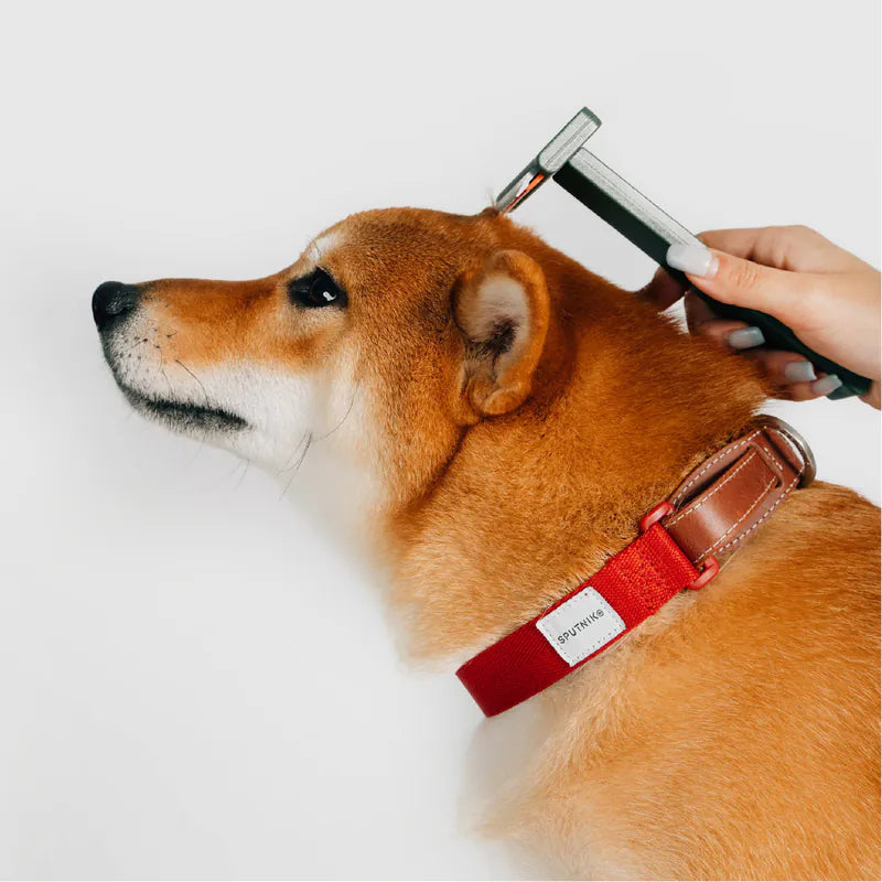 Pet grooming comb for dogs and cats Singapore - Petizen grooming tool - features