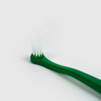 10TH YEAR - Pets Toothbrush Singapore - soft pet dental toothbrush by Petizen - detail view