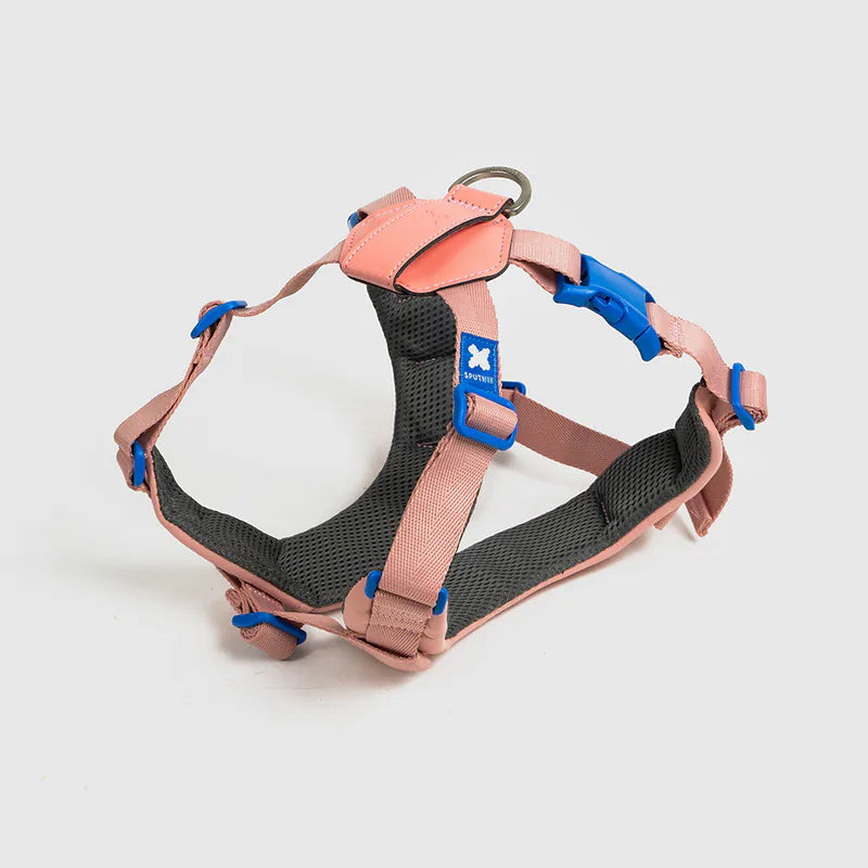 Petizen 10th Anniversary dog harness Singapore - limited edition walk gear - size comparison