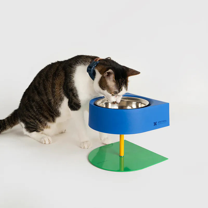 10TH YEAR -NON-ANTS Bowl (High) Singapore - elevated ant-proof pet feeding bowl by Petizen - packaging
