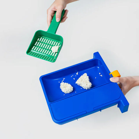 10TH YEAR - Cat Litter Box