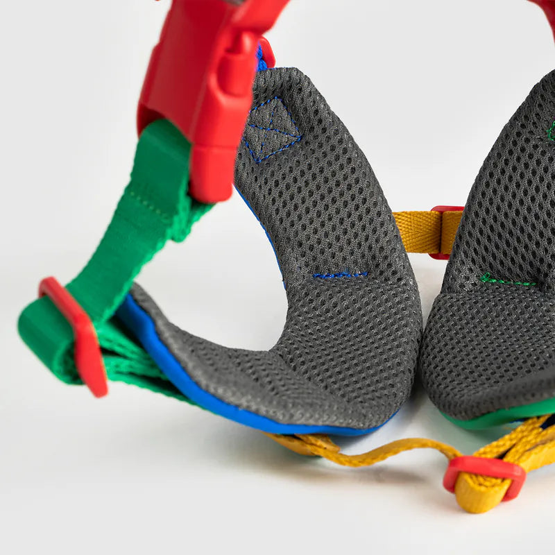 10TH YEAR_Harness