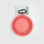 10TH YEAR - Collapsible Bowl Singapore - portable foldable pet travel bowl by Petizen - lifestyle