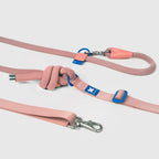 Petizen 10th Anniversary dog leash Singapore - limited edition walk gear - features