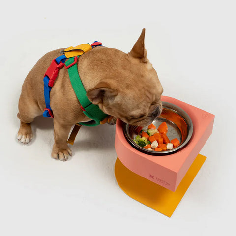 10TH YEAR -NON-ANTS Bowl (High)