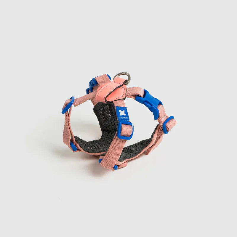 Petizen 10th Anniversary dog harness Singapore - limited edition walk gear - packaging