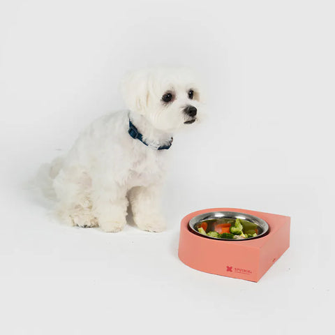 10TH YEAR - NON-ANTS Bowl (Low)