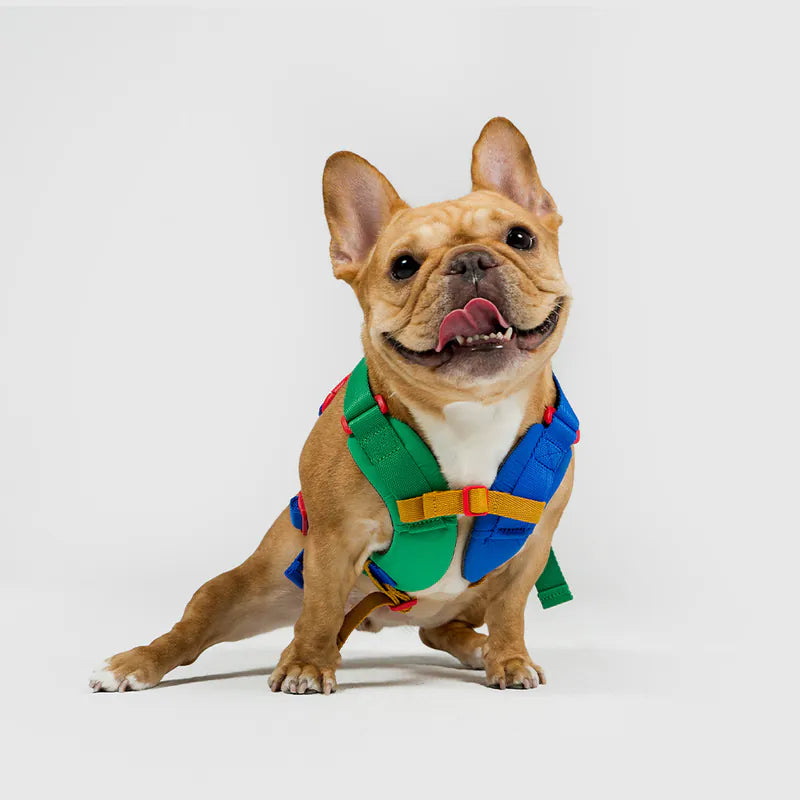 10TH YEAR_Harness