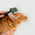 Pet grooming comb for dogs and cats Singapore - Petizen grooming tool - in use