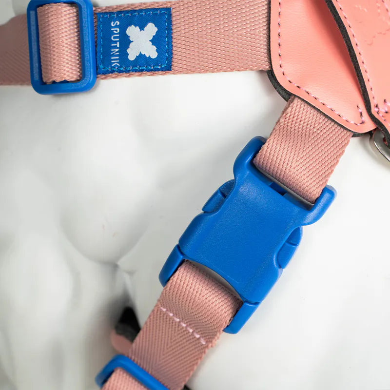 10TH YEAR_Harness