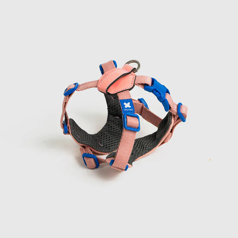 Petizen 10th Anniversary dog harness Singapore - limited edition walk gear - in use