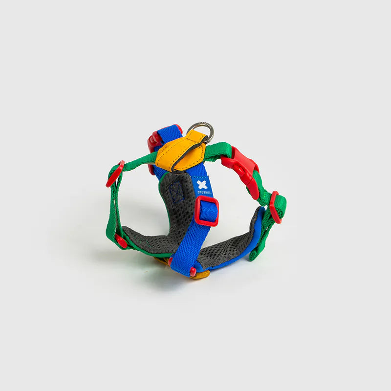 Petizen 10th Anniversary dog harness Singapore - limited edition walk gear