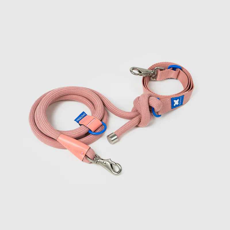 10TH YEAR - Leash